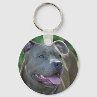 Llavero Tecla para perros Pitbull