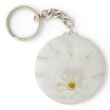 Tecla redondeada de la margarita blanca