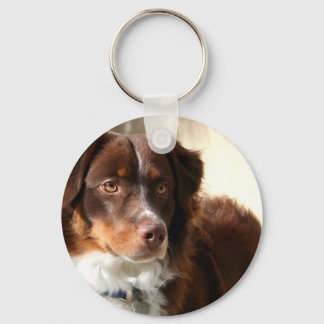 Llavero Tecla Shepherd de Australia