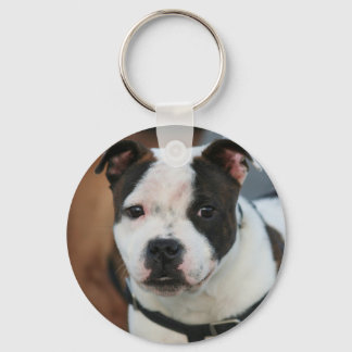 Llavero Tecla Staffordshire Bull Terrier