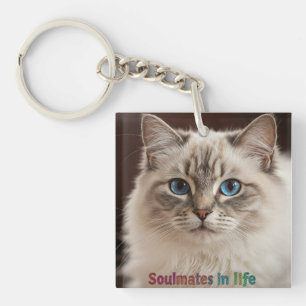 Llavero Tecnologías y cañones