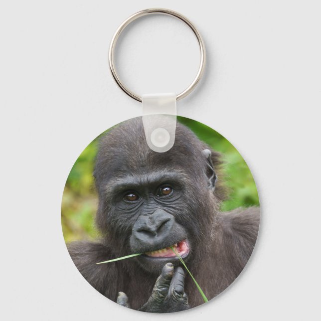 Llavero Tentabilidad del gorila del bebé (Anverso)