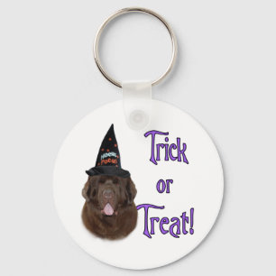 Llavero Terranova (marrón) Trick