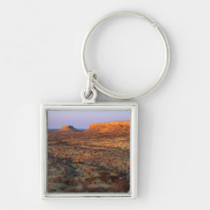 Llavero Terrazas de Ugab, distrito de Khorixas, Namibia