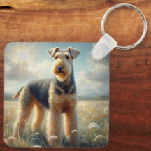 Terrier Airedale