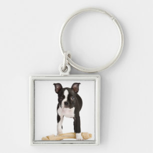 Llavero Terrier de Boston que guarda el hueso twisty