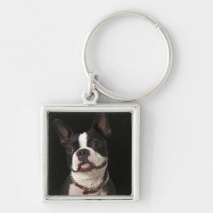 Llavero Terrier sonriente de Boston con el cuello