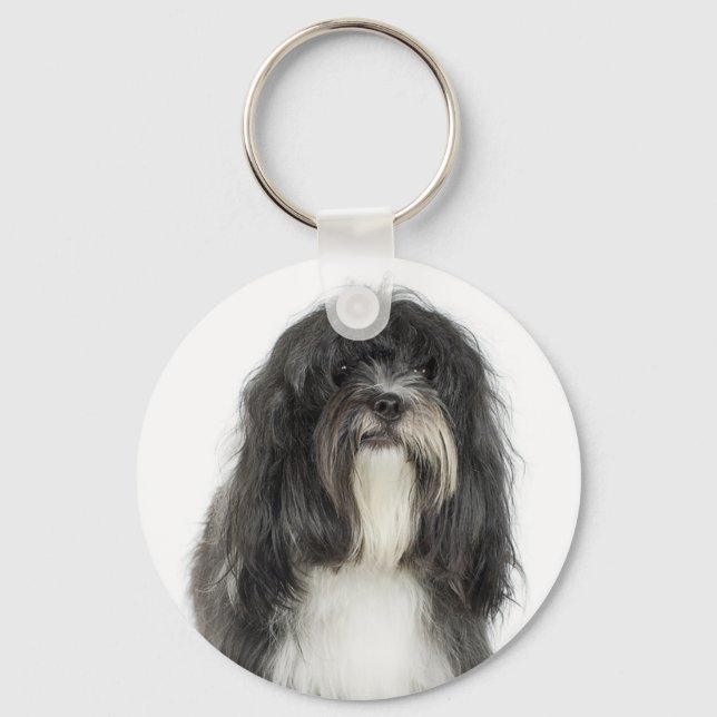 Llavero Terrier tibetano (Anverso)