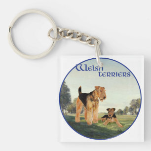 Llavero Terriers galeses