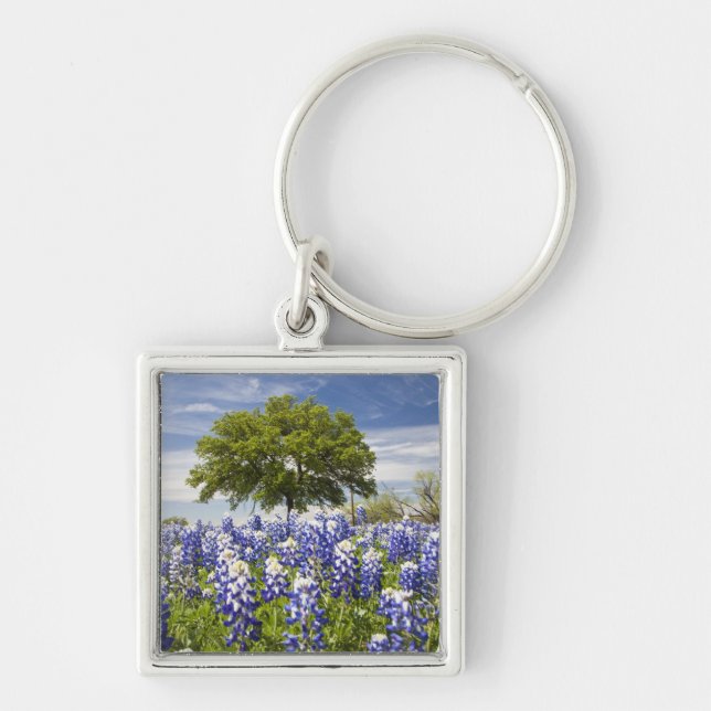 Llavero Texas bluebonnets(lupinus texensis) y roble (Frente)