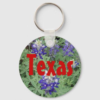 Llavero Texas Keychain