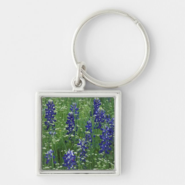 Llavero Texas, Lago Buchanan. Texas Bluebonnet y Wild (Frente)