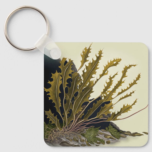Llavero Tidal Fronds (Anverso)