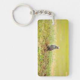 Llavero Tierras Badalinas del Keychain de Dakota del Norte