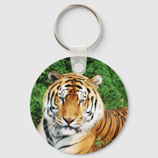Llavero Tiger Relaxing (Anverso)