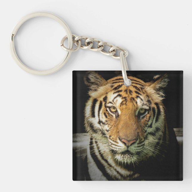 Llavero tigre (Frente)