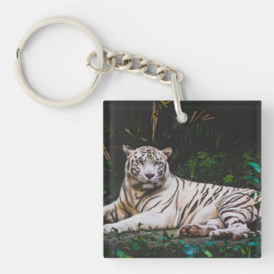 Llavero Tigre