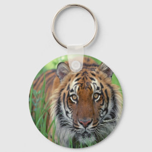 Llavero Tigre