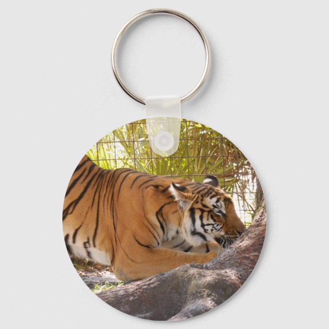 Llavero Tigre bengalí 001 (Anverso)