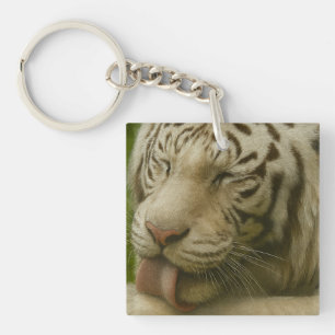 Llavero Tigre blanco en ritual de cultivo privado