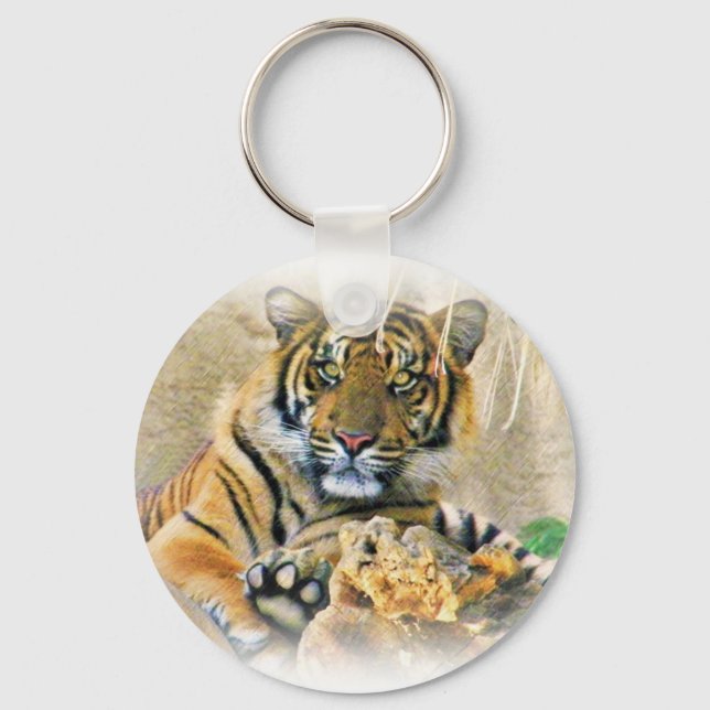 Llavero Tigre, buscando_ (Anverso)