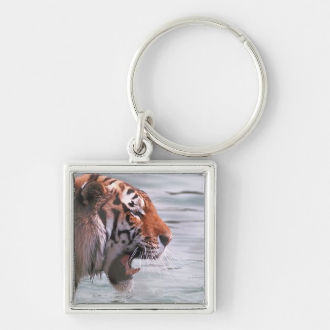 Llavero Tigre de bostezo en agua (Frente)