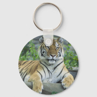 Llavero Tigre de Siberia