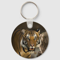 Tigre de Siberia