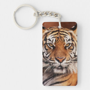 Llavero Tigre de Sumatra
