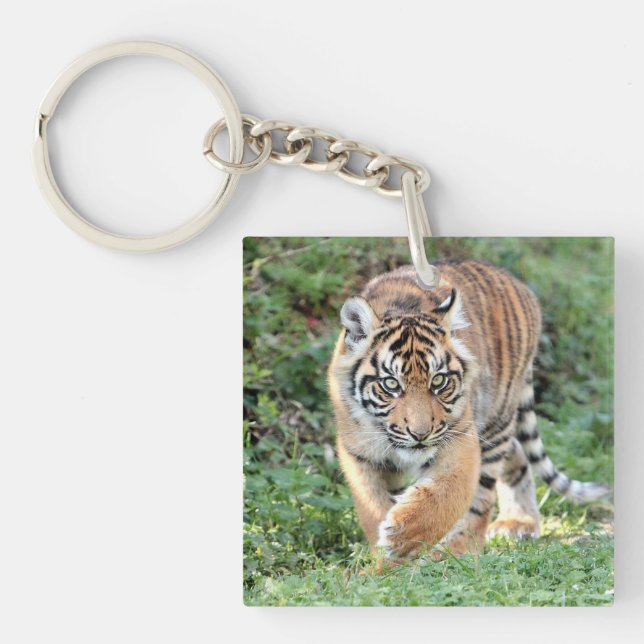 Llavero Tigre gato acrílico de fotos de Keychain. (Frente)