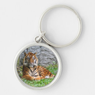 Llavero Tigre, gato, tira, Safari, patrón de jungla, arte