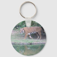 Tigre indochino