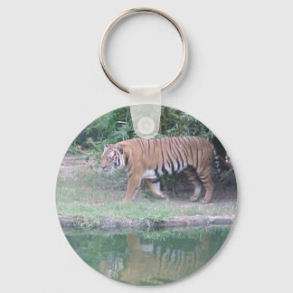 Llavero Tigre indochino