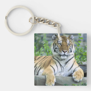 Llavero Tigre mate en la hierba