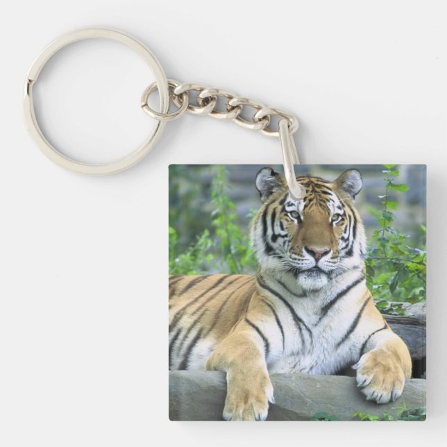 Llavero Tigre mate en la hierba (Frente)