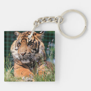 Llavero Tigre mate en la hierba