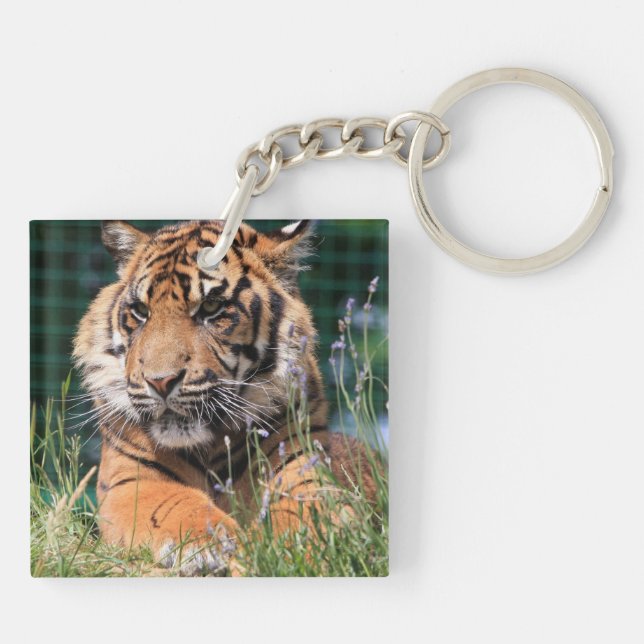 Llavero Tigre mate en la hierba (Atrás)