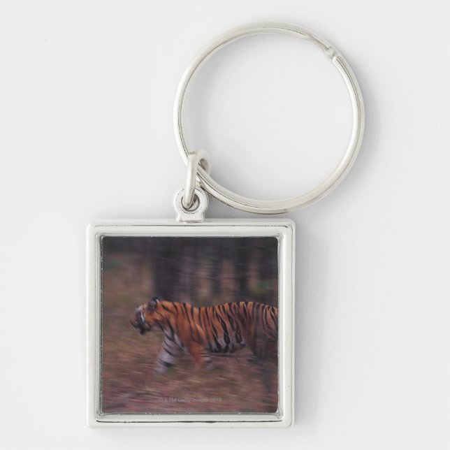 Llavero Tigre que camina a través de bosque (Frente)