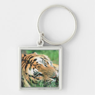 Llavero Tigre que miente en hierba