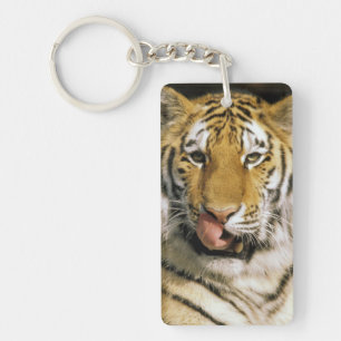 Llavero Tigre Zoológico de Michigan