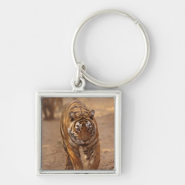 Llavero Tigres reales de Bengala en la pista, Ranthambhor (Frente)