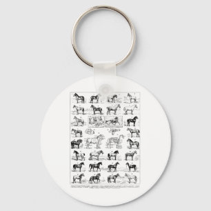 Llavero Tipos de Caballos de Raza de Caballo Ridi