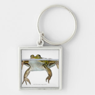 Llavero Tirado de una rana comestible que emerge delante