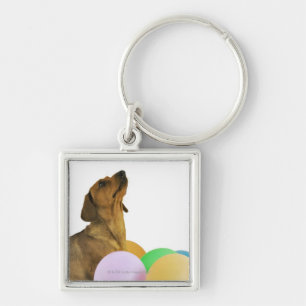 Llavero Tiro del estudio