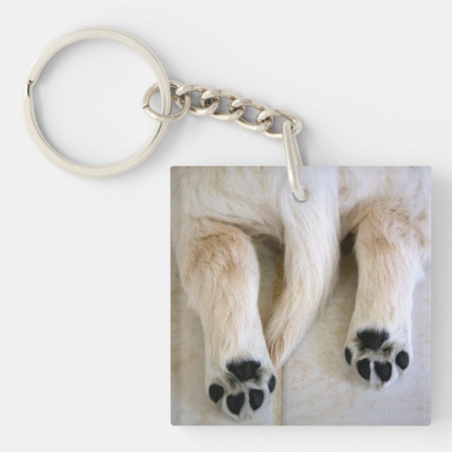 Llavero Toques de cachorro de Golden Retriever (Frente)