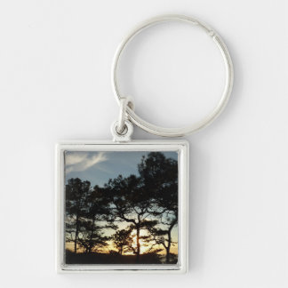 Llavero Torrey Pine Sunset II California