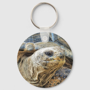 LLAVERO TORTOISE
