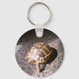 Llavero Tortoise