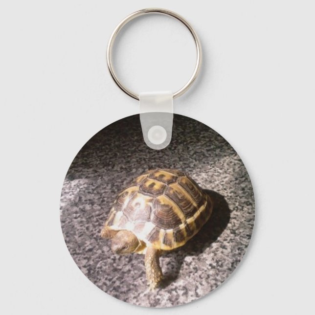 Llavero Tortoise (Anverso)