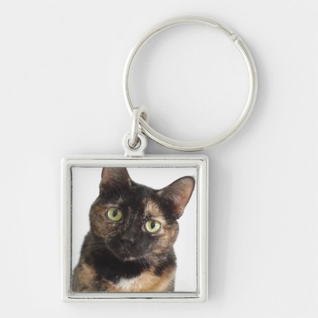 Llavero Tortoiseshell Cat (Frente)